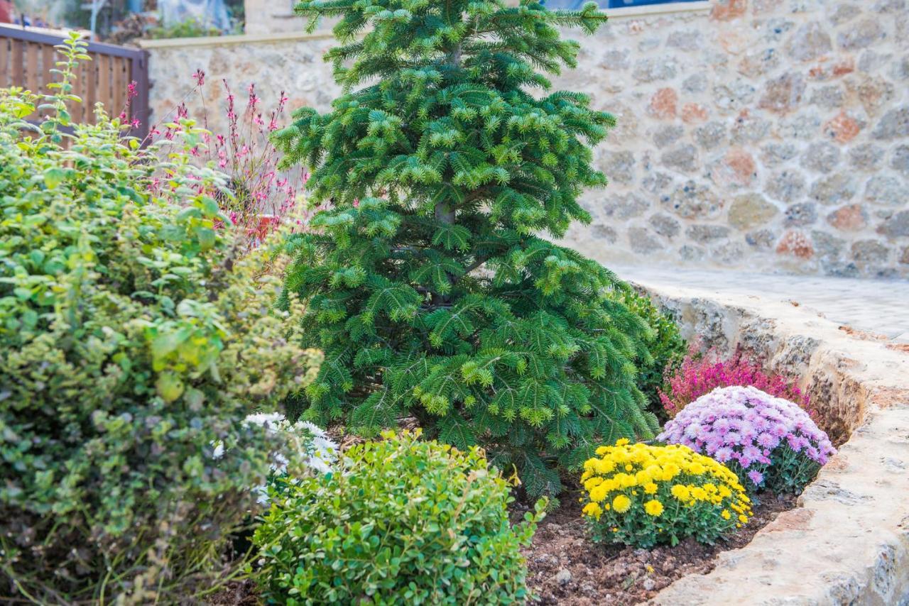Anotopos Ano Trikala Ngoại thất bức ảnh